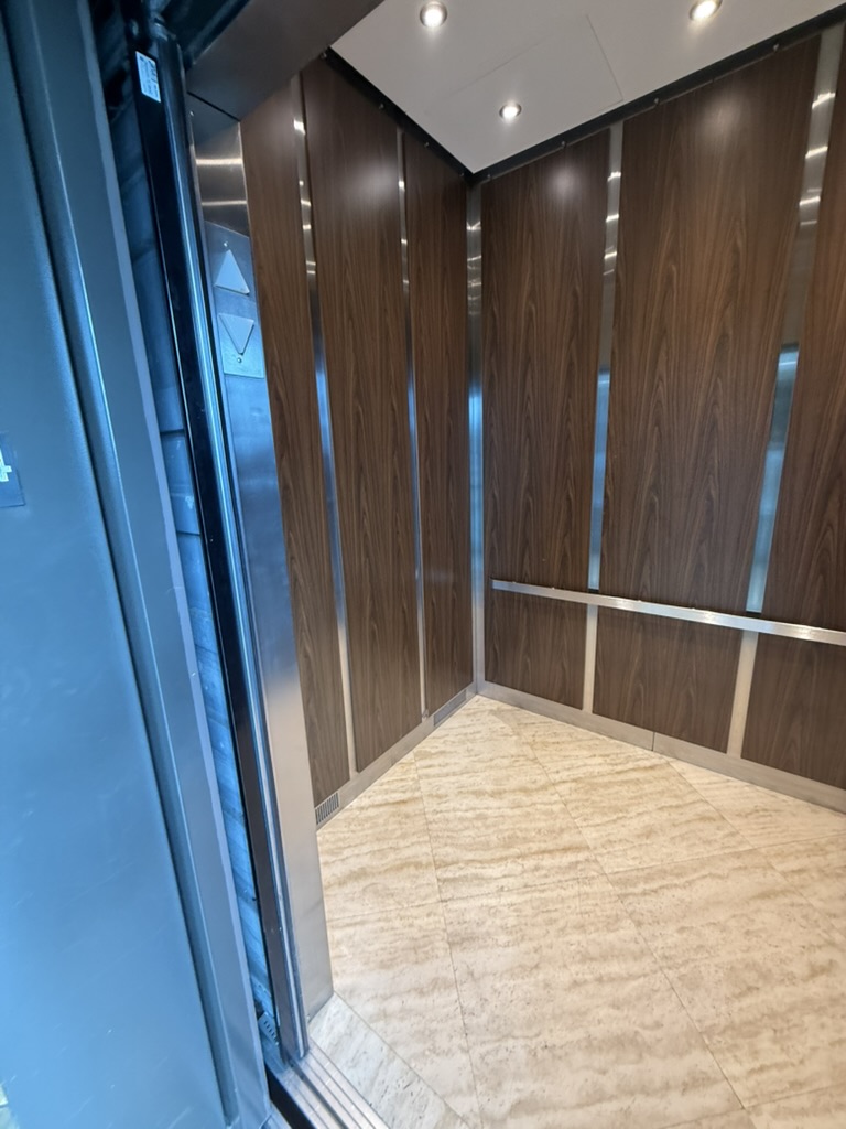 Current dark walnut cab — interior left